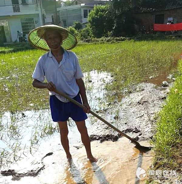 齐心重建 喻家坳党员带领村民田头加油干!