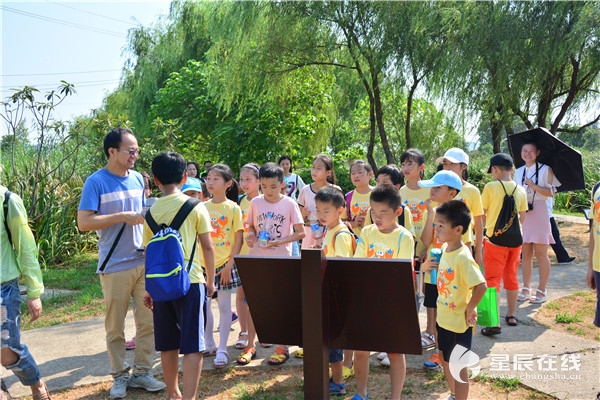 亮牌子 树形象 展风采③丨望岳街道打造睦邻友好街区 分享书香生活的精彩