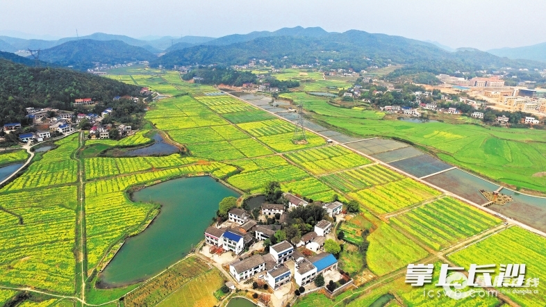 春分时节,航拍的湖南沙市岳麓区莲花镇春色如锦.