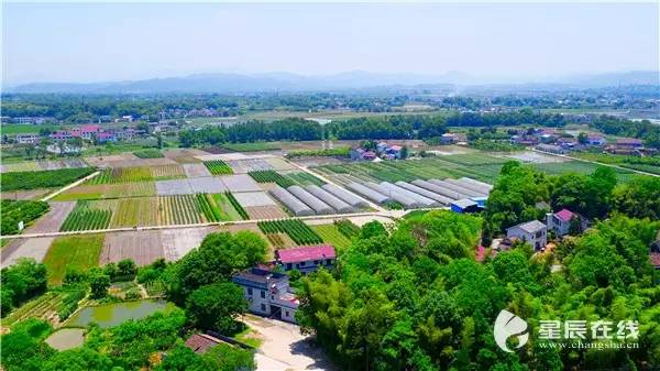 浏阳市沿溪镇沙龙村蝴蝶小区(屋场)宛如爱丽丝的梦境