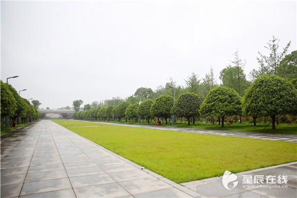 湖南在線 三湘萬象 > 正文 (湘府文化公園位於天心區生態城中心區