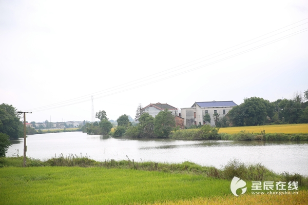 (大众垸河湖连通项目是望城区大力推进洞庭湖生态经济区水环境综合